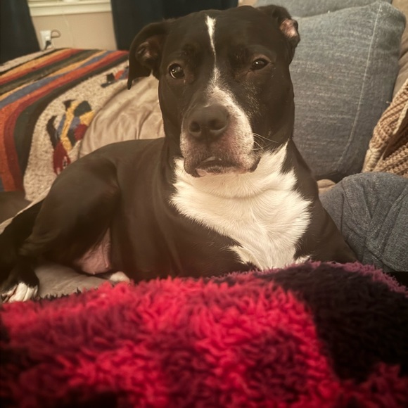 🖤Date night with Jules! 🖤 3/27 🖤 - Picture 5 of 6